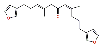 Isofurospongin 2